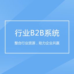 重庆企业软件开发 驱动B2B行业系统转型升级