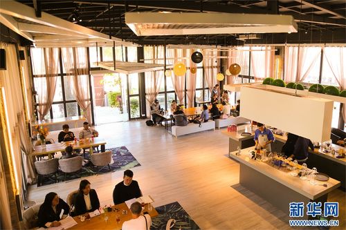 滇西新景致 保山咖啡庄园创新模式，引领农文旅融合新浪潮